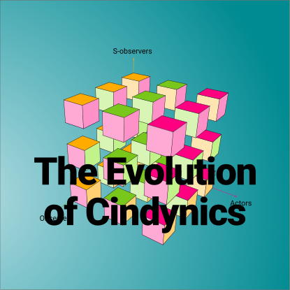 The Evolution of Cindynics